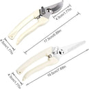 Stainless Steel Scissors Set