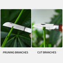 Folding Grafting Scissors