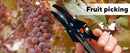 Garden Clippers