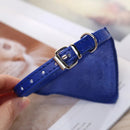 Dog Collar with Scarf