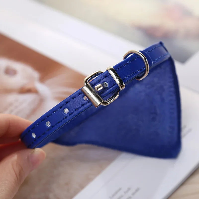 Dog Collar with Scarf