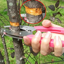 Grafting Cutting Tool