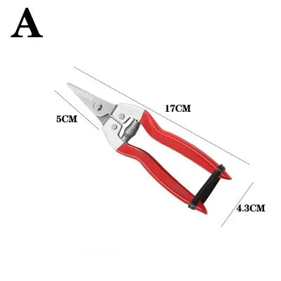 Pruning Shears A