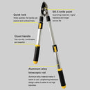 Telescopic Long Length Scissor