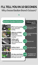 Industrial Grade Pruning Shears