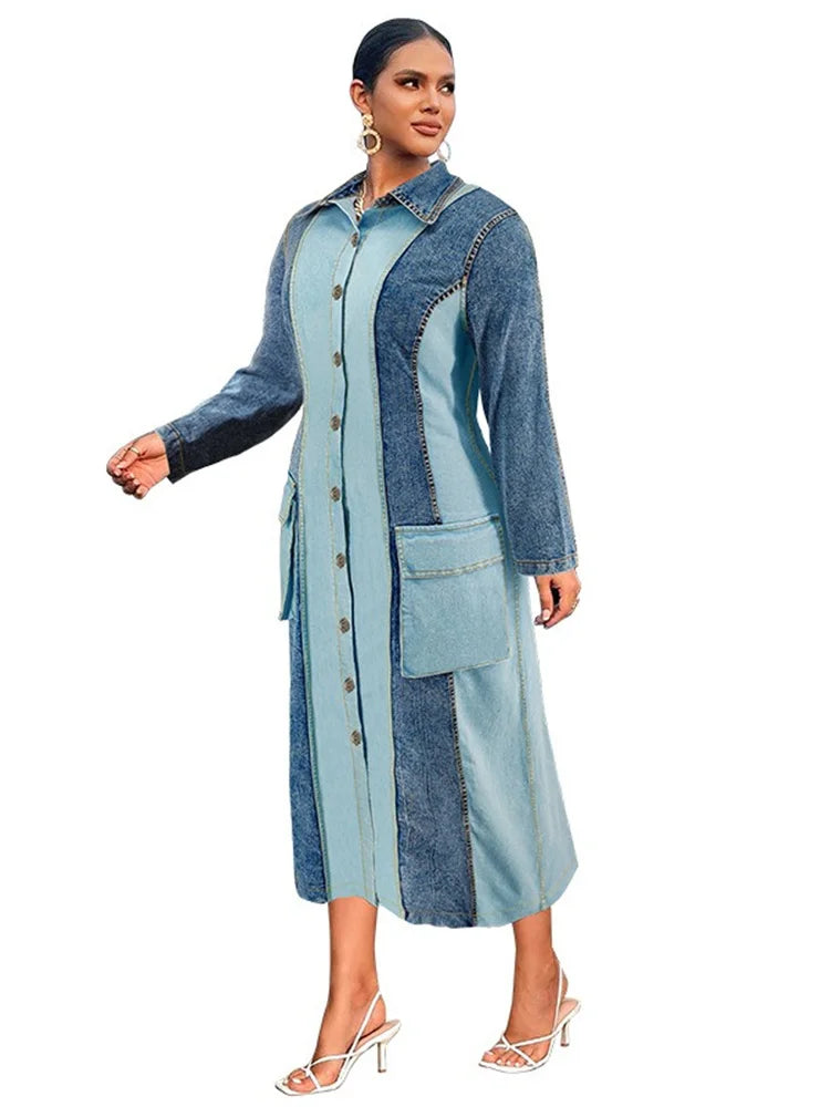 Women's Plus Size Denim Dress