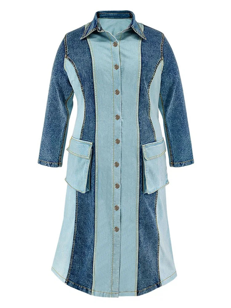 Women's Plus Size Denim Dress
