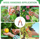 Straight-bladed pruning shears