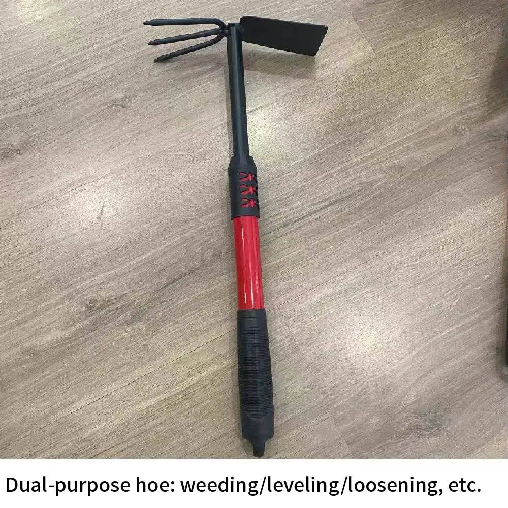 Dual purpose rake