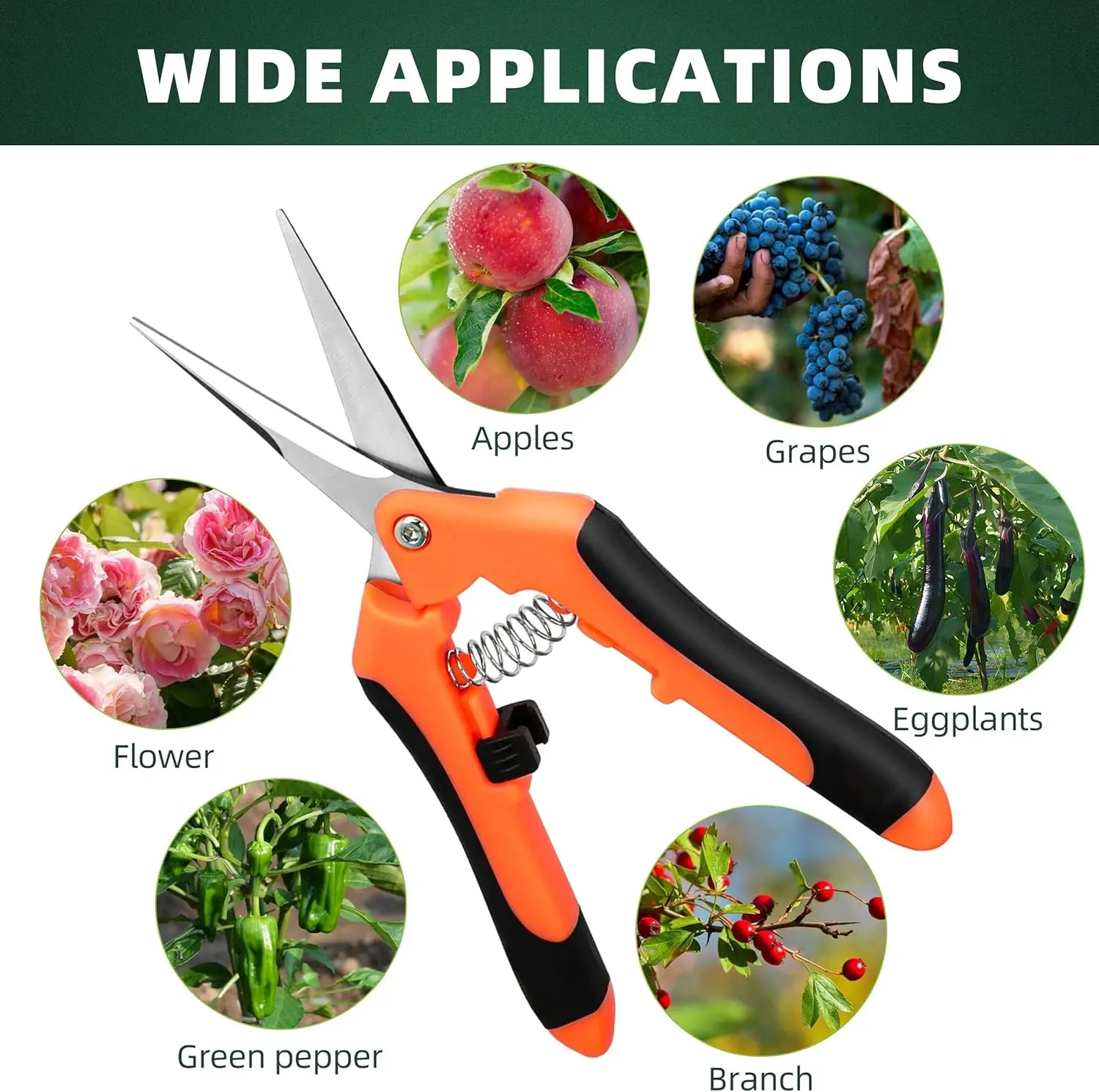 Straight-bladed pruning shears