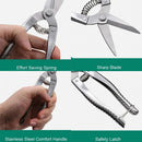 Stainless Steel Scissors