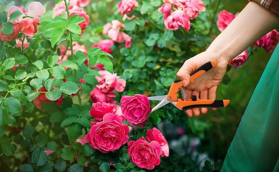 Straight-bladed pruning shears