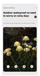 LED Solar Jellyfish Mushroom