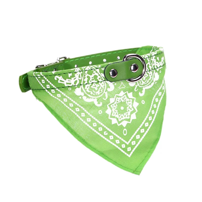 Green / XL-suit 19-31kg / CHINA