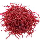 50/100PCS Soft Lure Bass Bream Bloodworm Fishing Earthworm
