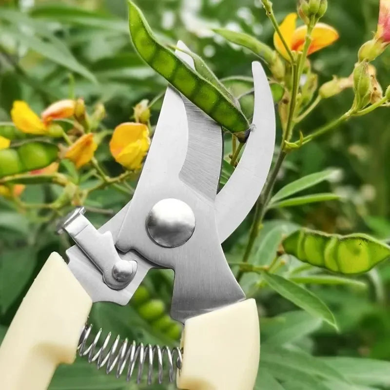 Stainless Steel Scissors