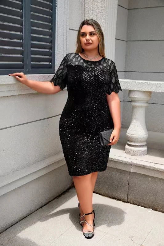 Women's Plus Size Lace Sequin Mesh Sleeve Bodycon Dress