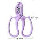 Stainless Steel Scissors