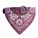 Dog Collar with Scarf