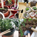 Three Piece Mini Gardening Tool Set