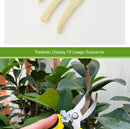 Garden Scissors