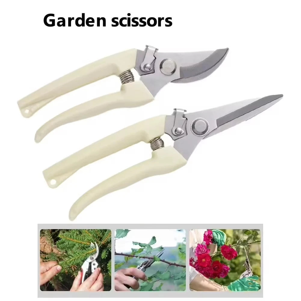 Stainless Steel Scissors Set