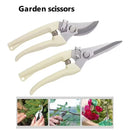 Stainless Steel Scissors Set