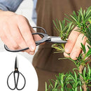24 PCS Bonsai Tree Kit