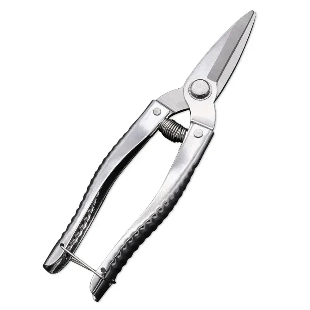 Pruning Scissors