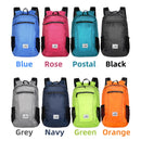 Portable Foldable Backpack