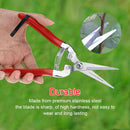 Fruit Tree Bonsai Gardening Pruning Shear