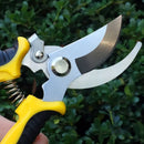 Stainless Steel Professional Gardening Shearing