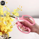 Stainless Steel Garden Scissors