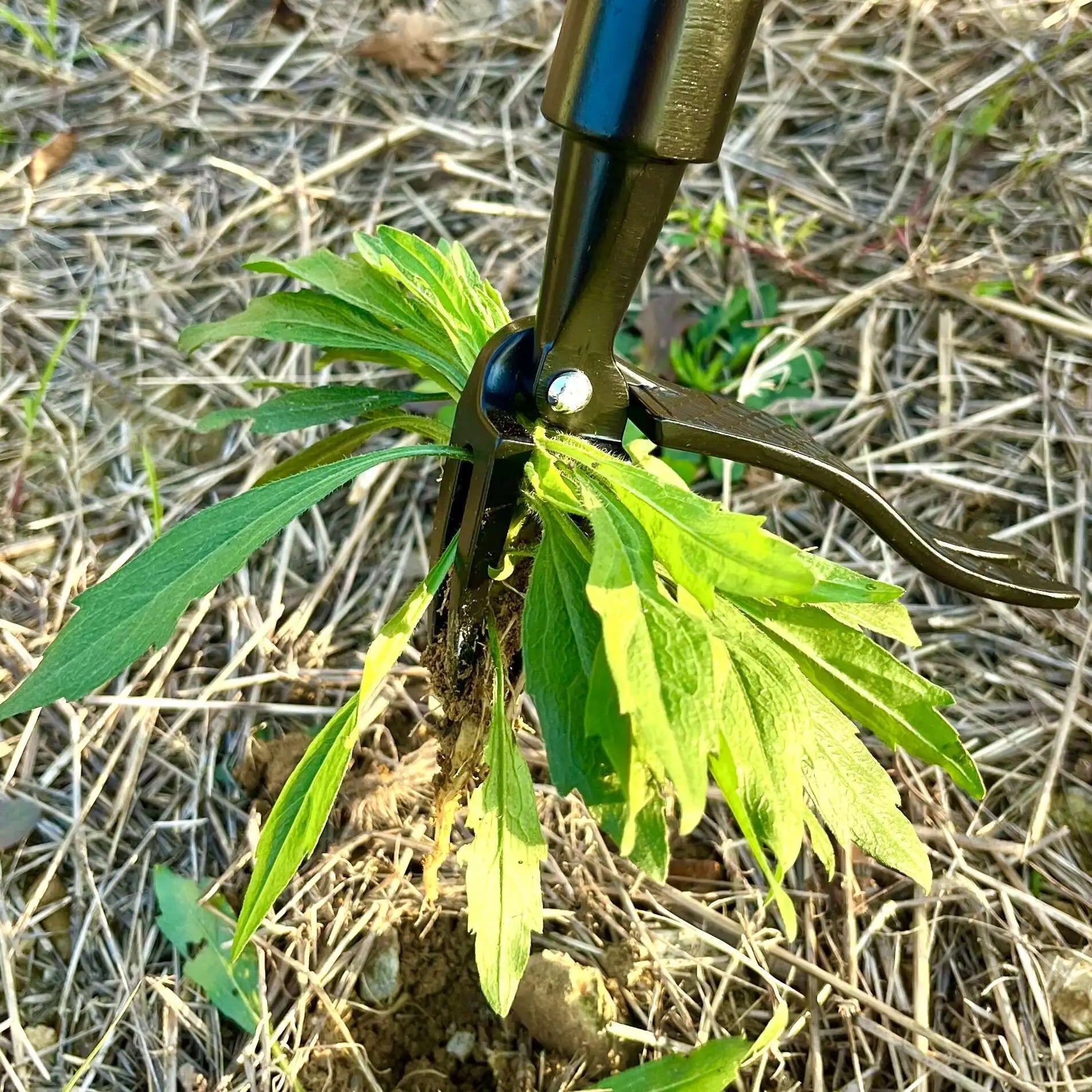 Stand Up Weed Puller Claw Tool