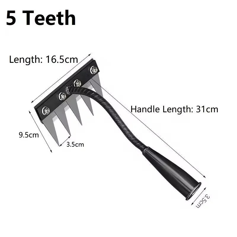 5 Teeth