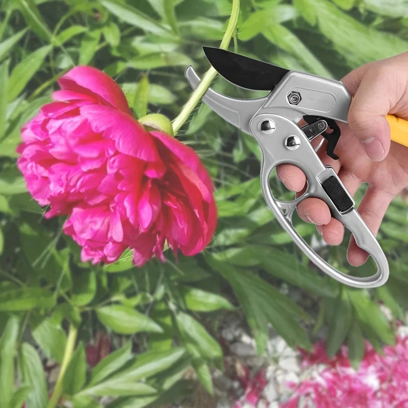 Stainless Steel Gardening Scissors