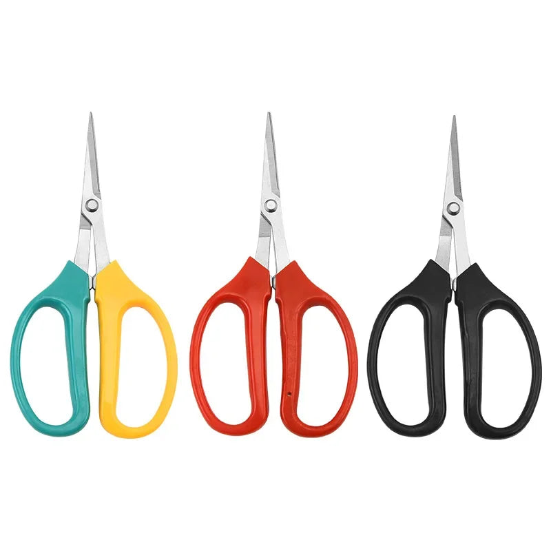 Stainless Steel Fruit Scissors