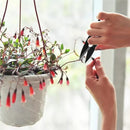 Pruning Shears Garden Trimming