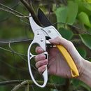 Stainless Steel Gardening Scissors