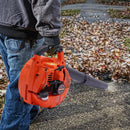 Gas Leaf Blower