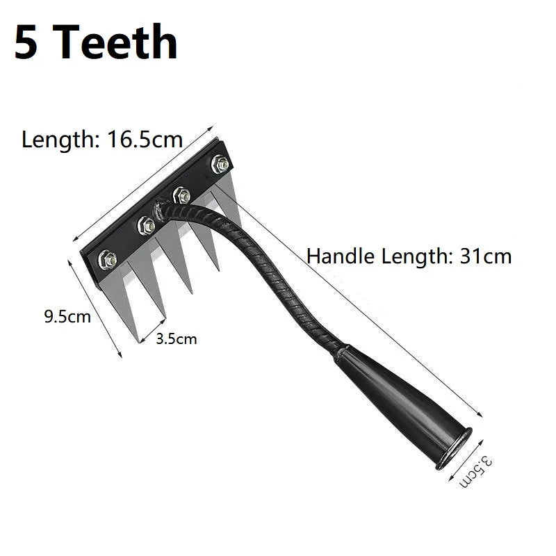5 Teeth / CHINA