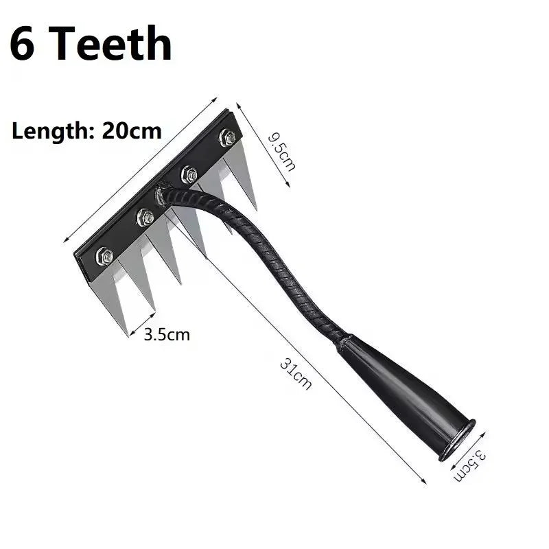 6 Teeth
