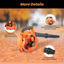Gas Leaf Blower