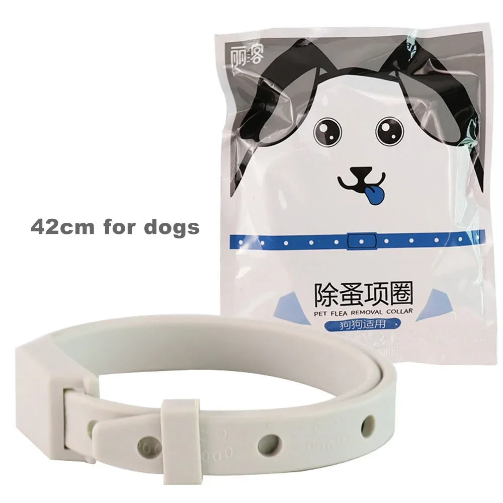 42cm for dog