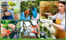 7 pcs garden shears Stainless steel