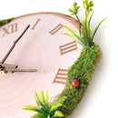 12inch Annual Ring Wall Clock