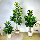 70/135cm Artificial Ficus Tree
