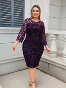 Women's Plus Size Lace Sequin Mesh Sleeve Bodycon Dress