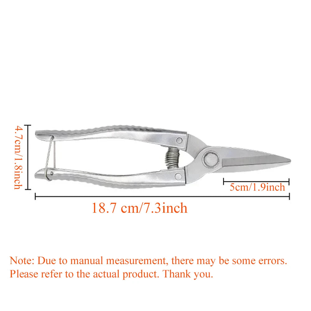 Stainless Steel Scissors