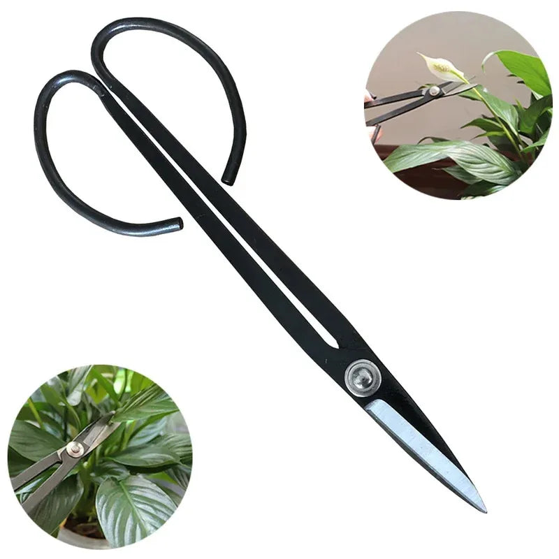 Steel Long Handle Scissors